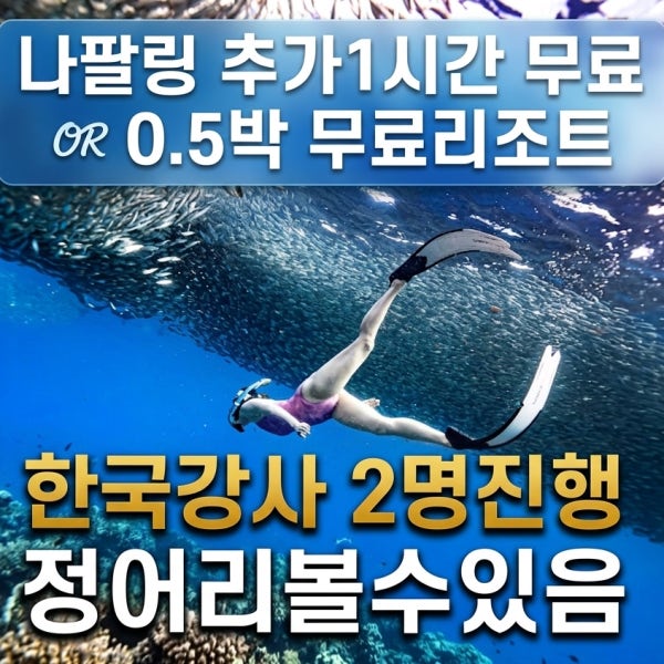 보홀 26’ 정어리보는투어 무료0.5박 나팔링1H추가 한국강사2명 체험프리다이빙 강습 스냅