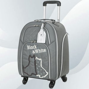 블랙앤화이트 BWZGT1B1 여성용 휠보스턴백 그레이 (바퀴형 보스톤백)