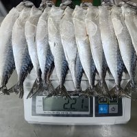 부산 손질 참고등어 간고등어 12마리 2.2kg 내외