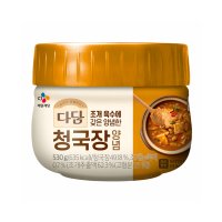 다담 청국장 양념 530g 1개 냉장