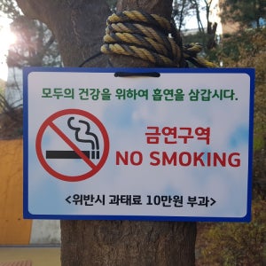 금연 표시판 걸이형 사각형 금연구역 건강 표지판 과태료 경고 흡연금지 노스모킹 표찰