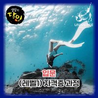 유니버스 프리다이빙 입문( 레벨1) 원데이 자격증 강습 인천/서울/경기