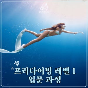 유니버스 프리다이빙 입문( 레벨1) 원데이 자격증 강습 서울 경기 PADI AIDA