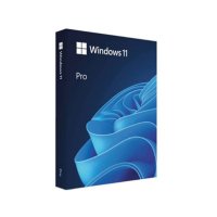 [MS코리아정품] Windows 11 Pro FPP 한글 처음사용자용 영구 제품키