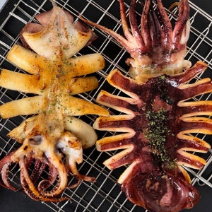 산지직송 반건조오징어 원양산 구룡포 피데기 5미 10미