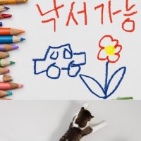 벽지보호 무반사 낙서벽지 투명 접착시트 고양이