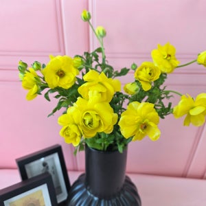 유스풀몰 버터플라이 라넌큘러스 한다발 꽃 생화 택배 꽃배달싼곳