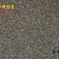 강원도 정선 고랭지 산 햇들깨 500g - 해발 800m재배