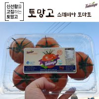 토망고 천연설탕 스테비아 토마토1kg