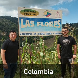 [커피생두] Colombia Las Flores Geisha Washed 콜롬비아 라스 플로레스 게이샤 워시드 (1kg)