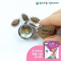 [천재교육kit] 4학년 2학기 1단원 7차시 도꼬마리 열매 관찰하기