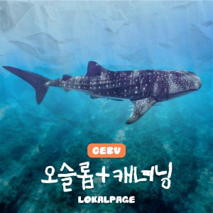 세부 캐녀닝 오슬롭 고래상어 투말록폭포 패스트트랙 투어 로컬페이지 [오캐팩]