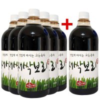 5+1 홍치마 대용량 목넘김좋은 유기농 새싹보리차 농축 새싹보리 원액 액상 1000ml 다홍치마