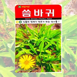 씀바귀 씨앗 100립 25년포장 고들빼기와 다른 산나물 종자