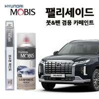 현대 팰리세이드 카페인트 자동차 붓펜 차량 페인트 WC9 A2B P7V R8N UB7