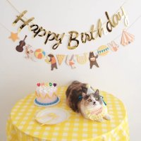 강아지 생일파티 고양이 생일상 영문 가랜드