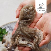 국내산 활 쭈꾸미 1kg 서해안 알배기 주꾸미 냉동 생물