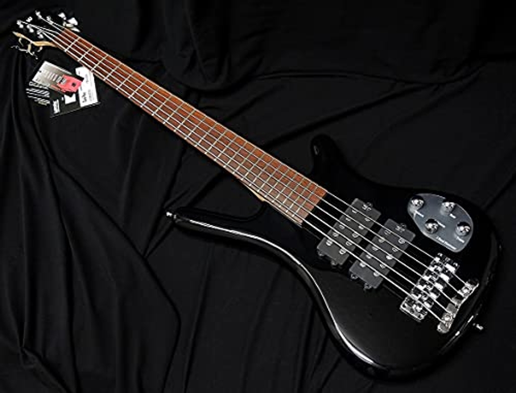 Warwick Thumb Bass NT 5-String (워윅 썸 베이스 NT 5현)