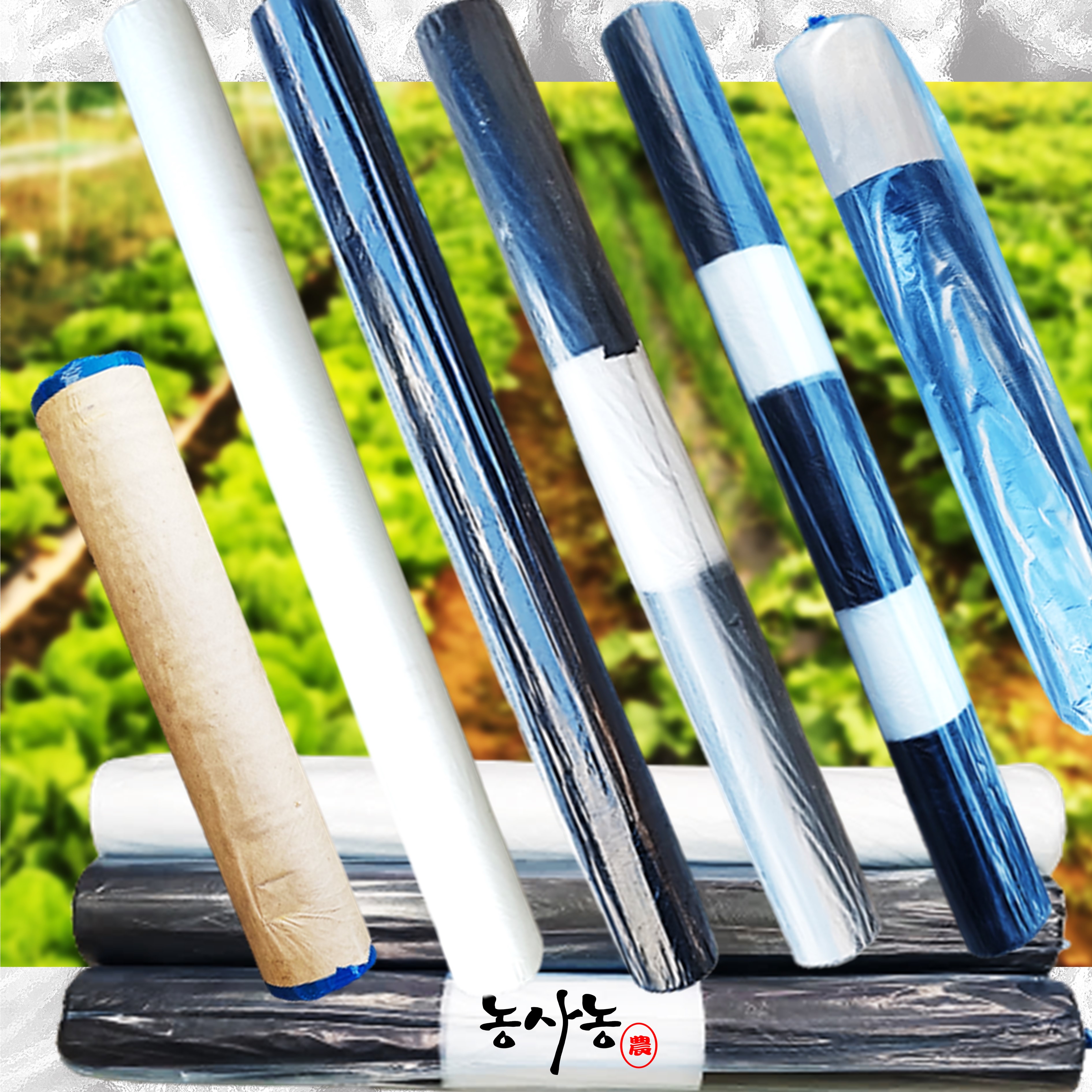 마늘 양파 참깨 무 배추 옥수수 감자 고추 구멍 멀칭 유공 비닐 종류 : 네이버 블로그