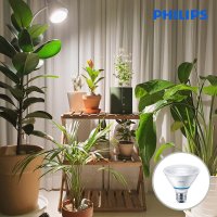 필립스 PAR30 스팟 LED 가정용 식물등 신제품 10W