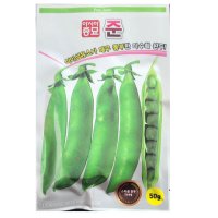 준 50g 완두콩 다수확 개량완두