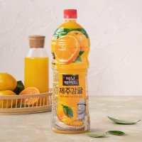 미닛메이드 제주감귤 1.2L (N2)