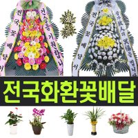 공주축하화환 계룡꽃바구니 공주시근조화환