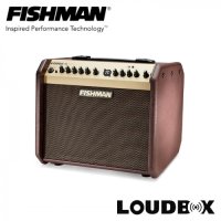 피쉬맨 라우드박스 미니 차지 60W Fishman Loudbox Mini Charge