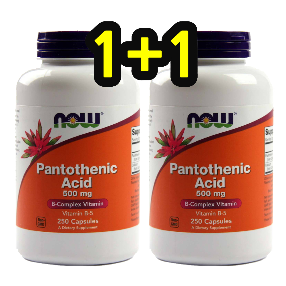 나우푸드 <b>판토텐산</b> 500mg 250정 2set