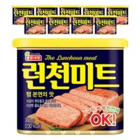 롯데 런천미트 햄 스팸 340g 10개