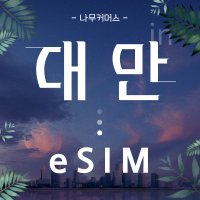 대만 이심 eSIM 데이터무제한 30일 총량5GB