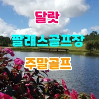 [달랏골프] 달랏팰리스골프장 주말일일골프부킹 (그린피 캐디피 전동카포함)