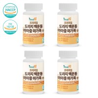 네추럴핏 프리미엄 도라지 맥문동 까마중 마가목 환 100g 4박스