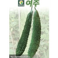 여주씨앗 10립 식물여주효능 재배키우기