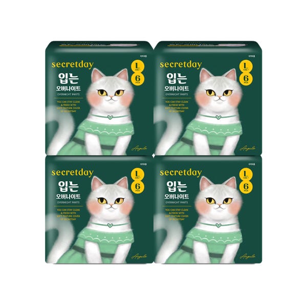 시크릿데이 입는 오버나이트 에디션 대형 6PX4팩
