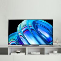 LG OLED TV OLED65B2QNA 163cm G-SYNC 스탠드형