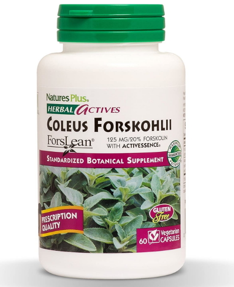 <b>NaturesPlus</b> 콜레우스포스콜리 추출물 60정 포스콜린