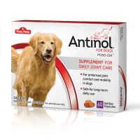 안티놀 60 소프트젤 강아지 관절 영양제 60정 antinol joint supplement