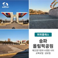 [퍼피반] 서울 올림픽공원 : 반려견 강아지 기초, 사회화, 그룹 산책교육