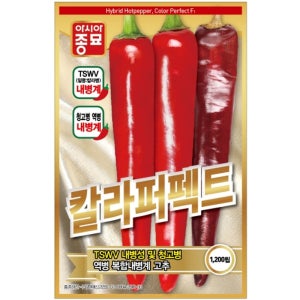 A-고추-칼라퍼펙트 1200립 채소 종자