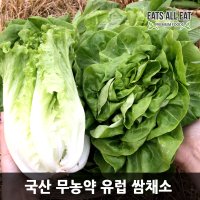 이츠올릿 무농약 유럽 샐러드 채소 이자벨 1kg 프리미엄 유기농 상추 샐러드 야채 믹스