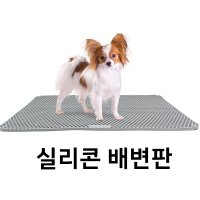 실리콘 토일렛 그레이(커버형) 배변판 강아지 화장실 추천 반려견 친환경 소변 대변