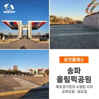 [성견반] 서울 올림픽공원 : 반려견 강아지 문제행동, 사회화, 그룹 산책교육