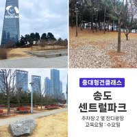 [중대형] 송도센트럴파크 : 반려견 강아지 문제행동, 사회화, 그룹 산책교육