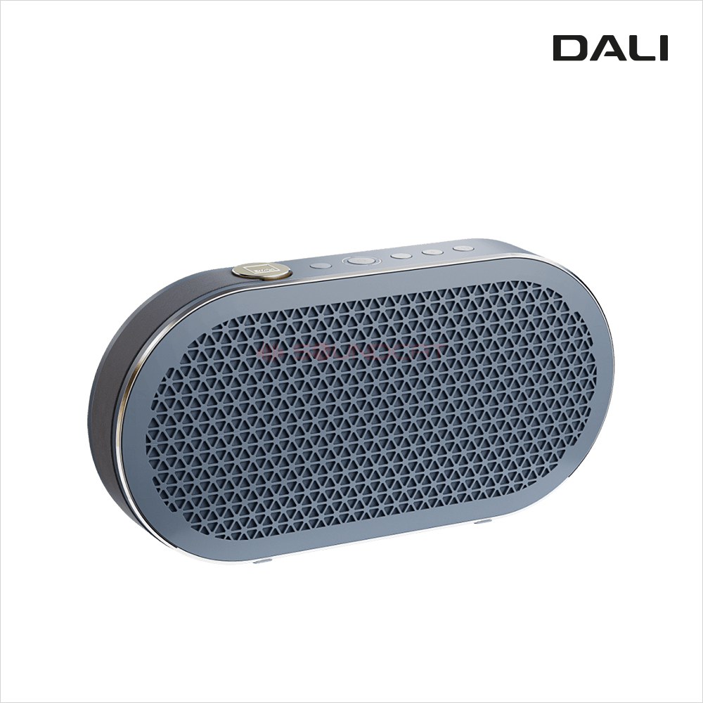 DALI KATCH G2 블루투스 스피커