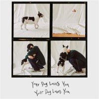 콜드 Your Dog Loves You CD미개봉