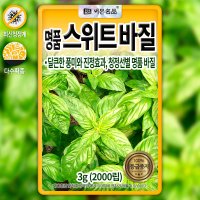 스위트바질 씨앗 허브씨앗 종자 2000립-DN