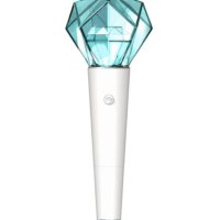 (오늘출고)SHINee 샤이니 공식 응원봉 SHINEE OFFICIAL Light Stick