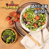 [농사임당] 다양한 모듬 이탈리안 프렌치 샐러드 야채 유러피안 8종 골라담기