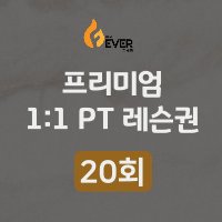 1:1 PT 1회 레슨